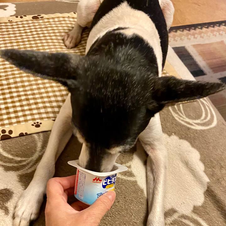 0e02c0c3 d58c 479b b31e 0e534d15af49 1611268552584