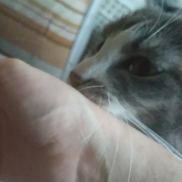 0e02d166 a9cb 45a6 88c5 9307332f18d3 1642723899009