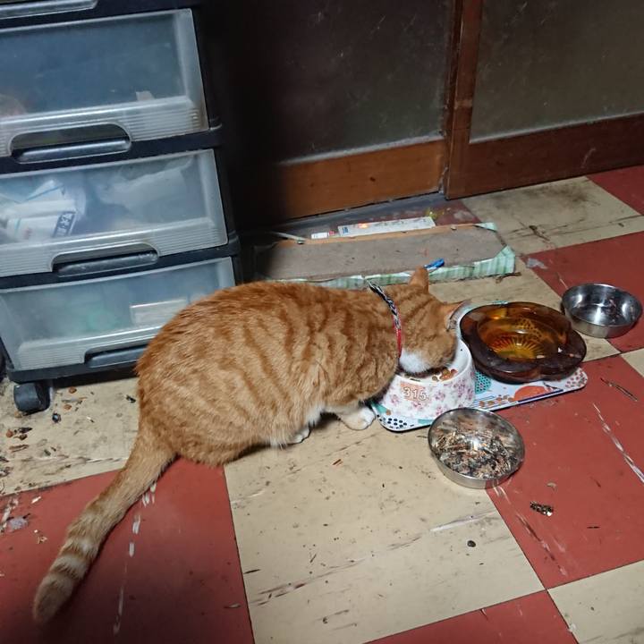 0e02f641 0816 4ffd b417 b2d5677b0474 1573506236692