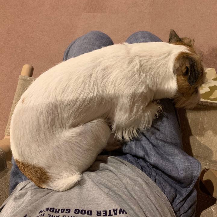 0e030534 0346 454d ae71 4e5833e429a9 1599644740126