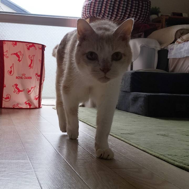 0e030702 6fab 4e40 91e1 7a3b59e60a3c 1665613983797