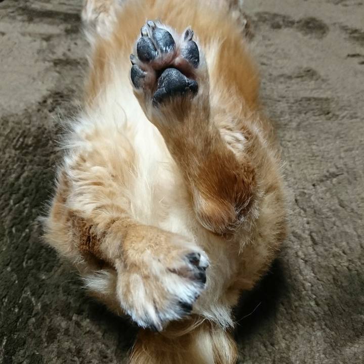 0e031828 5777 49ed a866 d71282844c1a 1512927469088