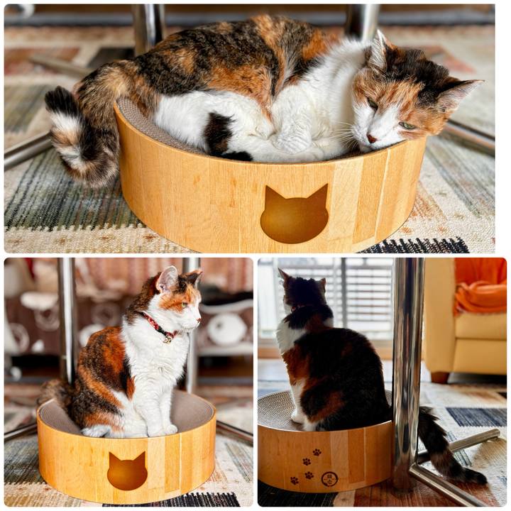 0e032cf3 1570 4f9f 9309 5670cc41c261 1711860348809