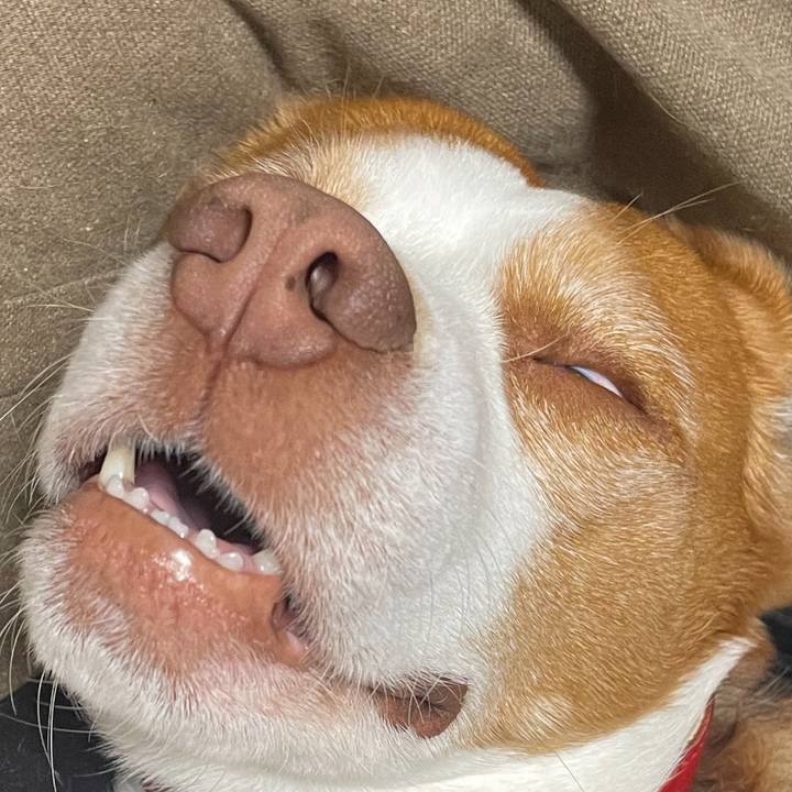 0e03b6ac 3370 437e aa03 81af93f3146e 1615899020319