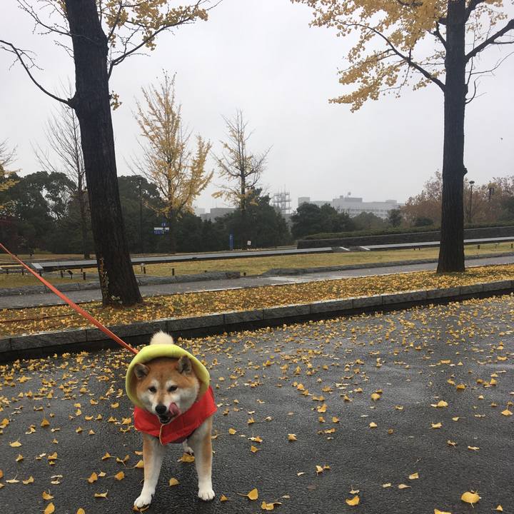 0e03be1e 3deb 47b6 bb54 8b8fa39fc69e 1574489688441