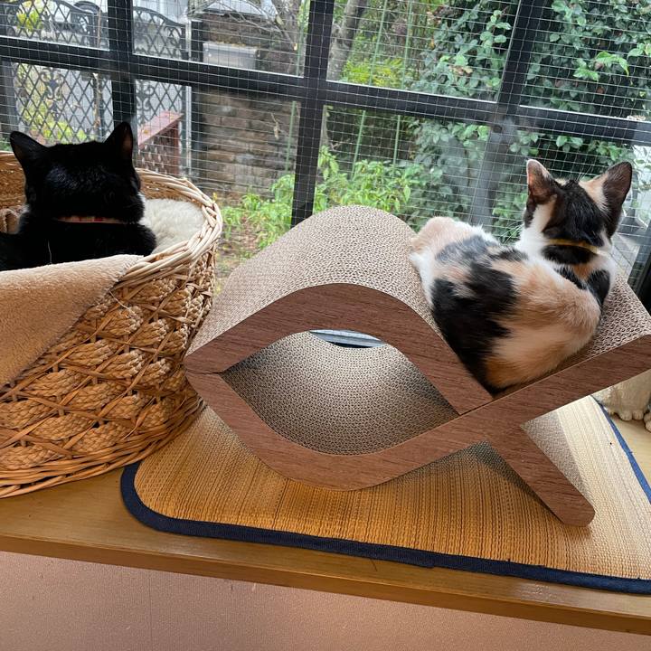 0e03c5c3 3986 41fe b2cb f3d7c1588e21 1665098434389