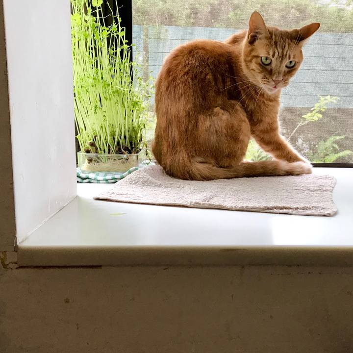 0e03c705 2a20 4434 a07c e1fdf7e36476 1562289680375