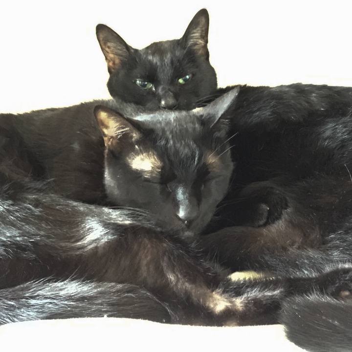 0e03e7ea 368a 4268 8546 704355bdbbe9 1525400787005