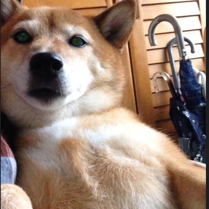 0e03eabf f164 42ee 8f7c 085c064b7abd 1531820242450