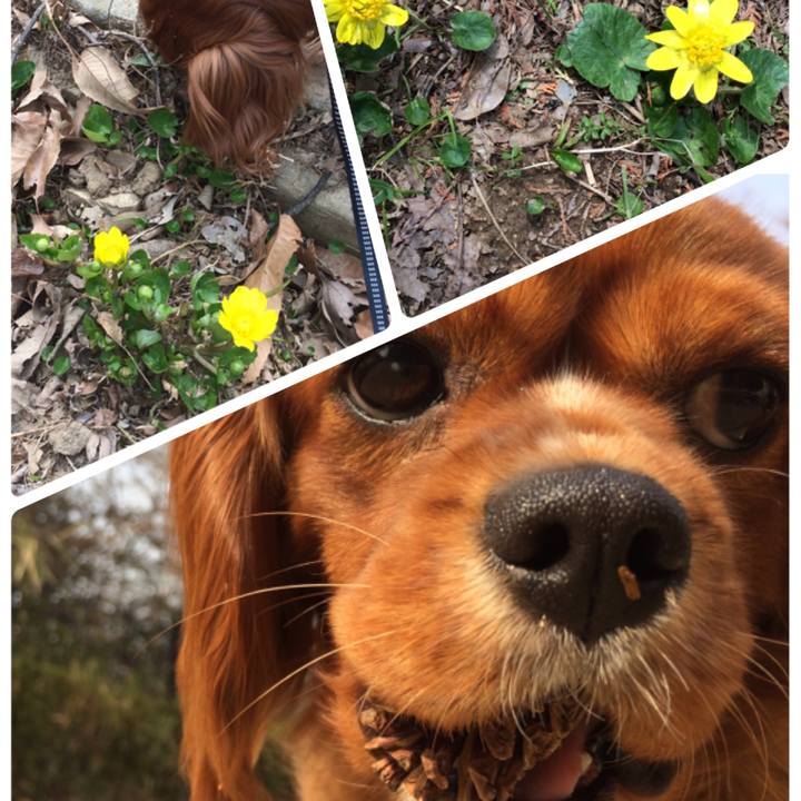 0e0434b5 7c09 42be 8db4 9b3286b48fdd 1520050553089