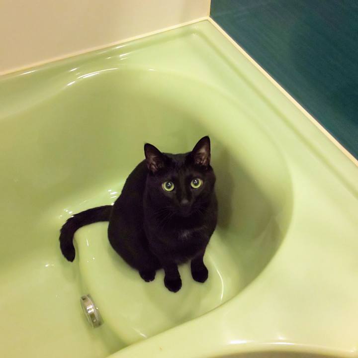 0e0435c7 e707 474c b08c f16658086d94 1743978005064