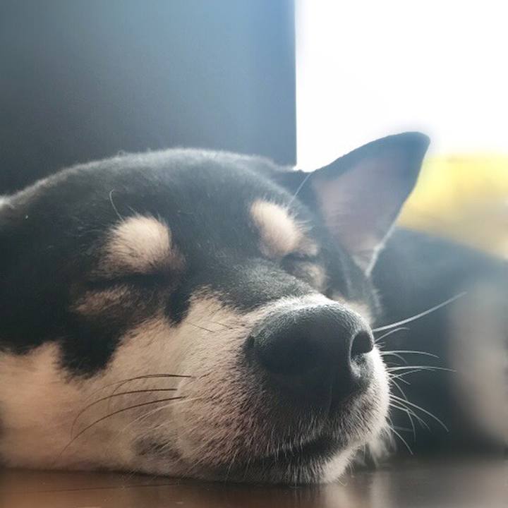 0e047dd5 169b 425c a54d ebec6e9638fb 1566017754054