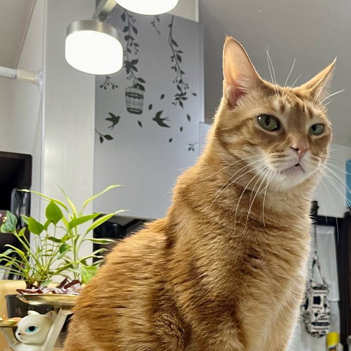 0e04c042 3c7f 48bb adee 10c3dee31cae 1706340793385