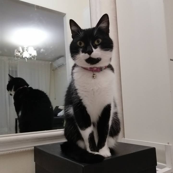 0e04d30c 43b9 4449 a9ec 25a8005efe87 1584119765542