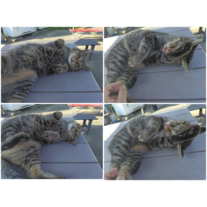 0e0524c2 3c6b 46de 8564 c915782448e2 1664533512812