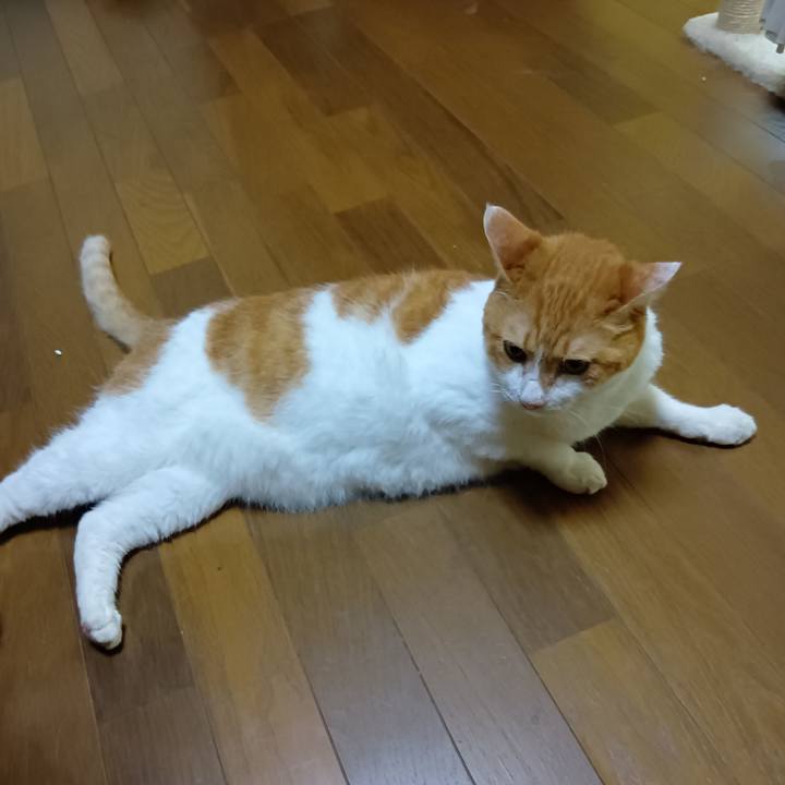 0e054732 8813 4855 8732 d3da942c2628 1754562698024