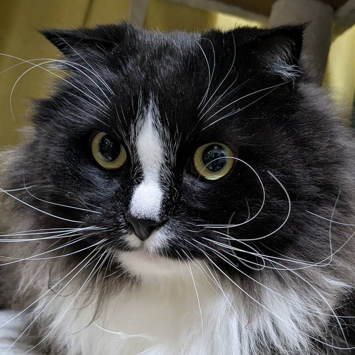 0e05b1d6 5f72 4de7 b950 07d760bbbe0e 1774696281411