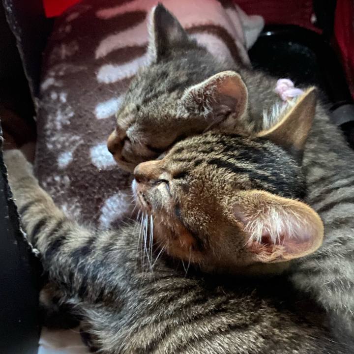 0e05db3f 3ae5 4096 9ef9 26bda7d7ab77 1638313531493