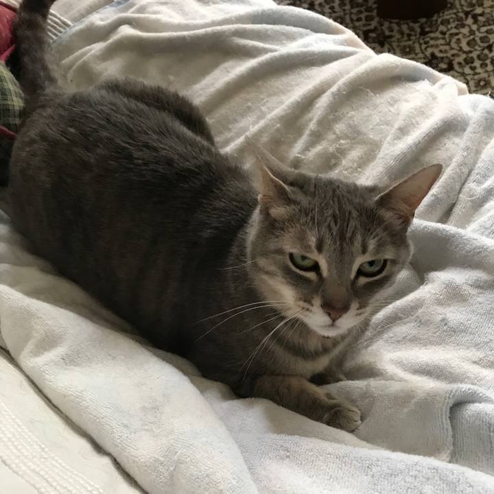 0e05f919 33e2 4df3 9fad f19799e57119 1591179180033