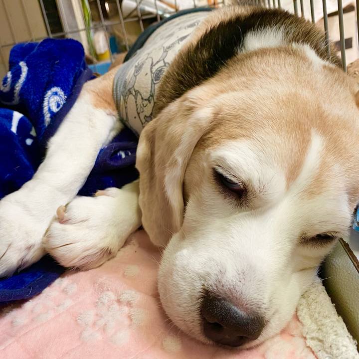 0e060955 fc67 4954 9d64 cab5ae898887 1620100065524