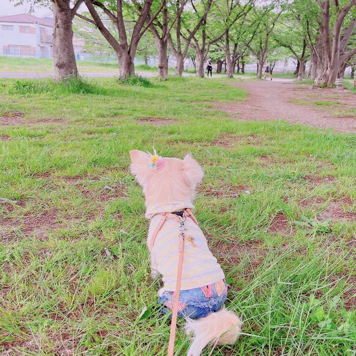 0e067e6c 6941 40cc 9aa5 f863e37dcf53 1682073856623