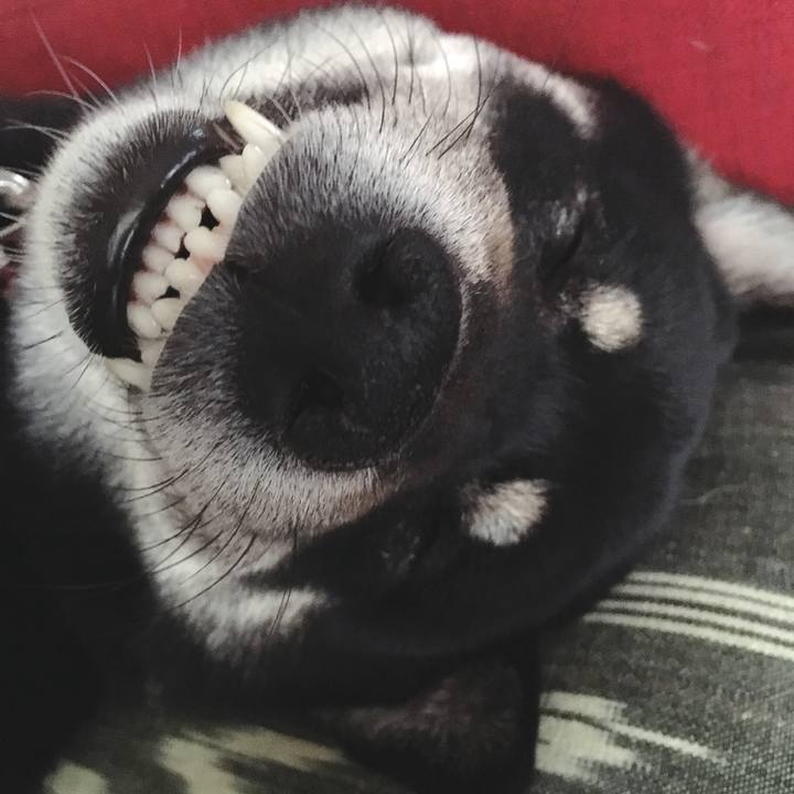 0e06b808 ac60 498d 8b96 5b5a7c2ff66b 1556205463585