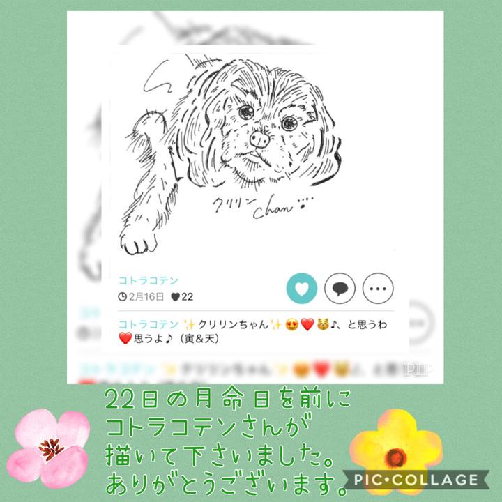 0e06c7a9 8d0f 4e98 8d1c 6e230c5586a3 1582298845492