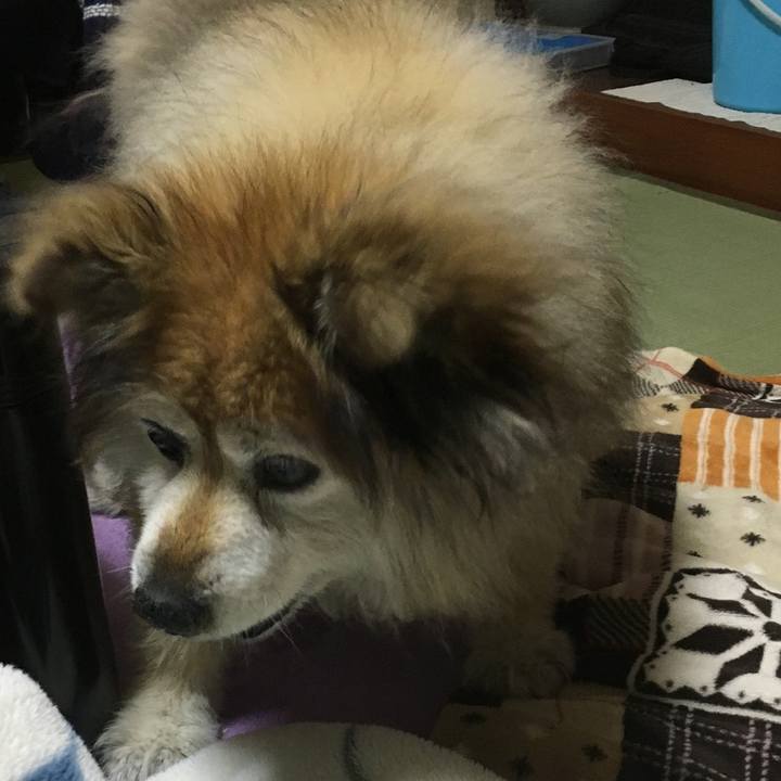 0e070df4 2229 4d31 b635 c86c9ed7ae24 1602910172520