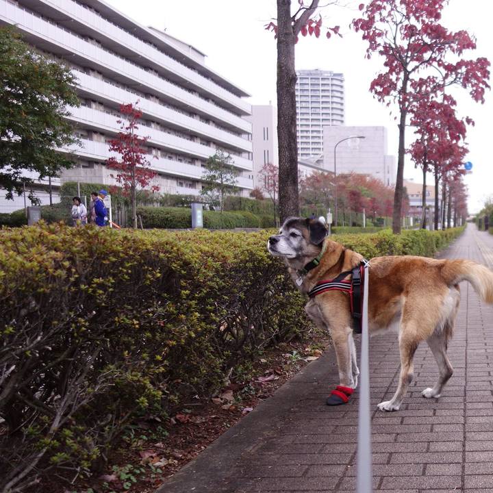 0e07378d 779c 4fdd 8be4 75005fe13da7 1541304464140