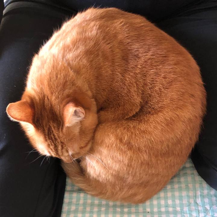 0e0743ca d018 4419 acb0 231082d37831 1728693898428