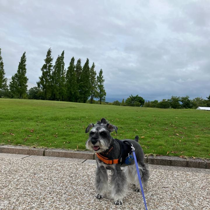 0e074dd8 c787 4cd3 9673 8bc37df467f5 1727521762727