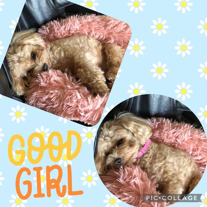 0e0782ef c41c 4c36 a983 d768fe8b26cf 1682682723964