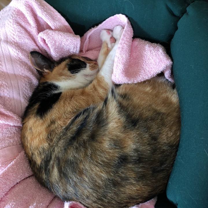 0e0796a3 6353 455c b363 8736e82a8b69 1530672404549