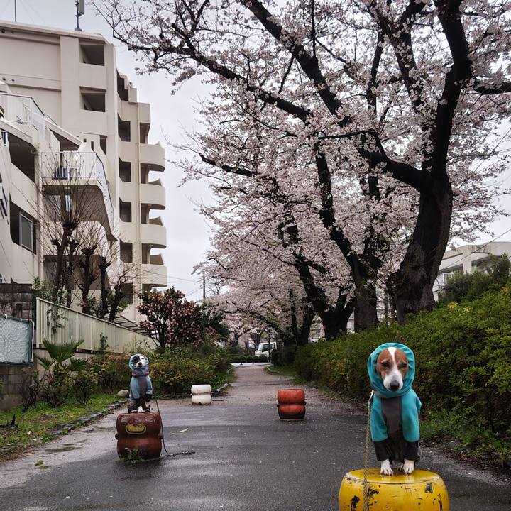 0e07a64d 8a2f 4a74 a20e 7803e498168a 1743457215857