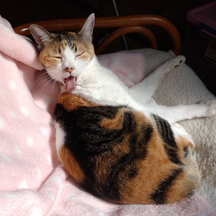 0e07a9c6 c9fa 41bf 87fe 858c37b41c06 1632451149027