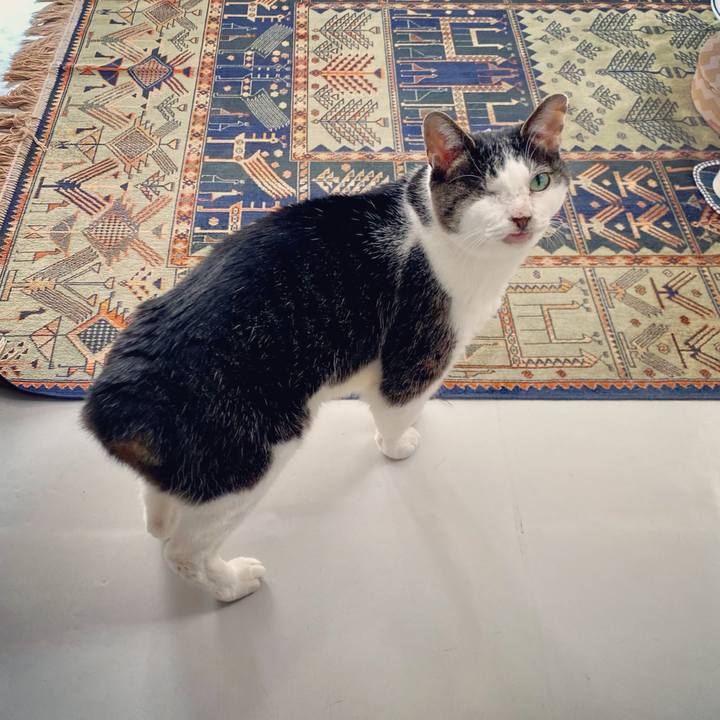 0e07af0f c87f 48f6 b493 c314e43b89d4 1617344277194