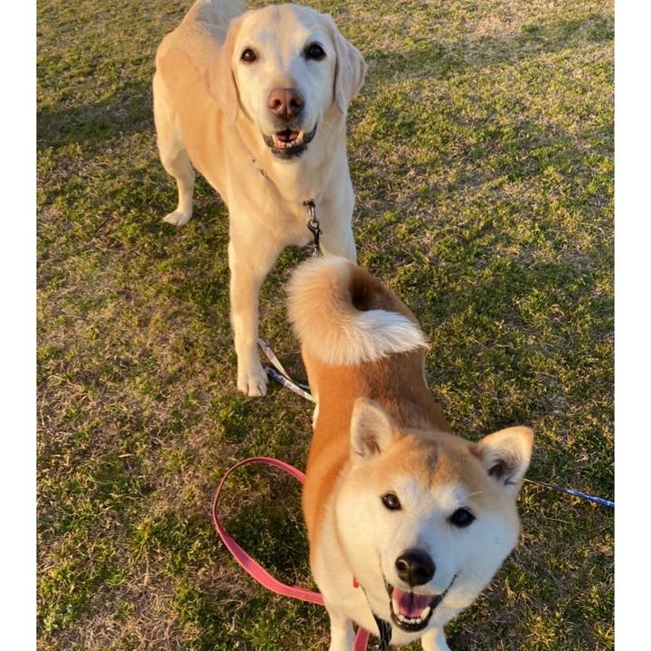 0e07d519 bb43 4ae4 85a1 985c6113fb9b 1615426466593