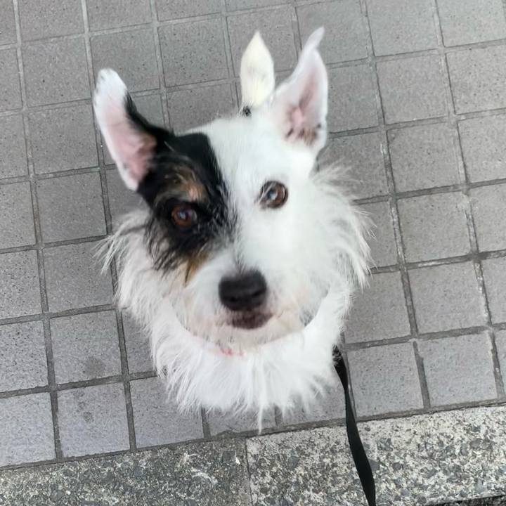 0e07f39e 6a89 4e43 bb07 4101d831cb99 1695800917673