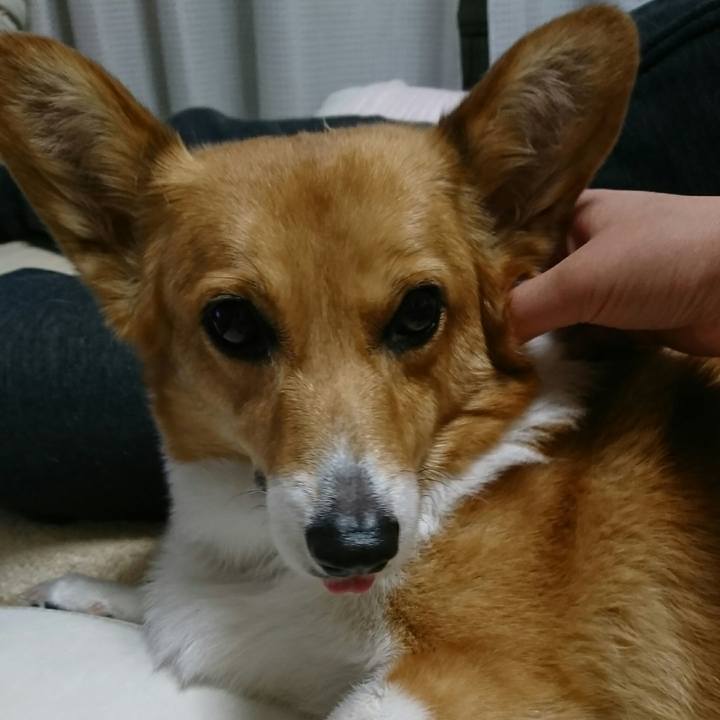 0e081bb9 45e8 49ea a95a 5ef7bd25ebd4 1556661205133