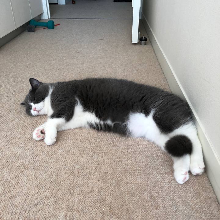 0e0821f5 bb6d 4ee9 8126 79407a8b5668 1519452146263