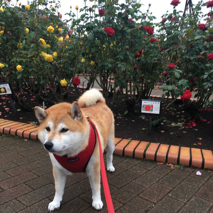 0e0887af ea34 495e 9d53 2a490c883f1f 1602374985429