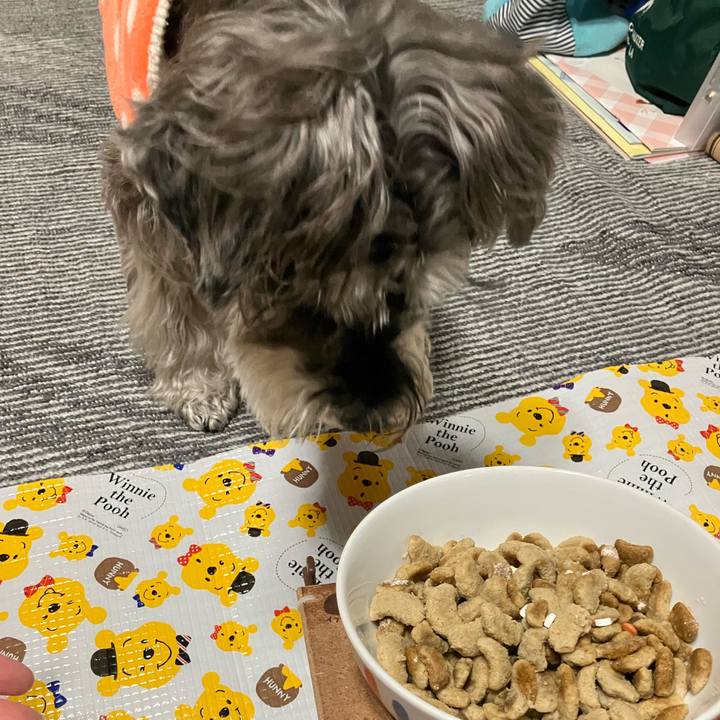 0e088bf6 7ce0 406a a024 aa652ad3269e 1775081059334