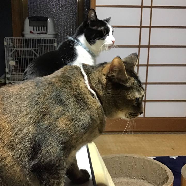 0e08959e 79c2 43d5 9d71 7adda468bf40 1738065279211