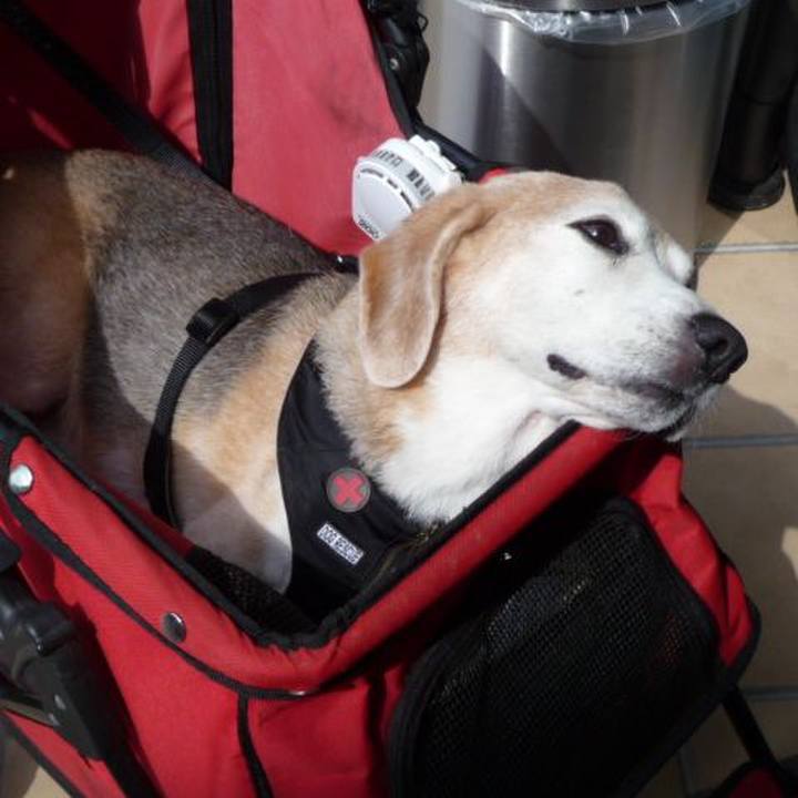 0e08bef6 acaf 4f52 a19f 6d79f5779e2c 1695772952242