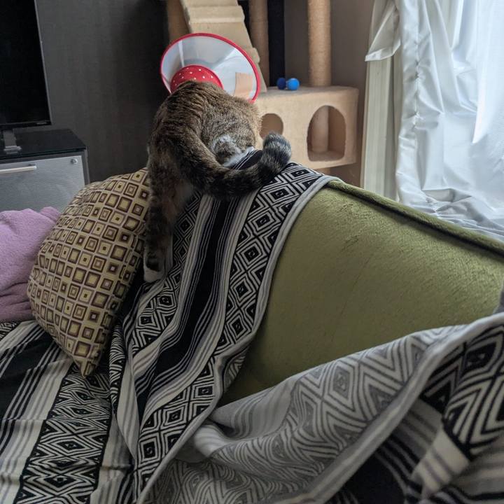 0e08d7ec 9264 4200 9e60 8199252b5ab9 1751348191742