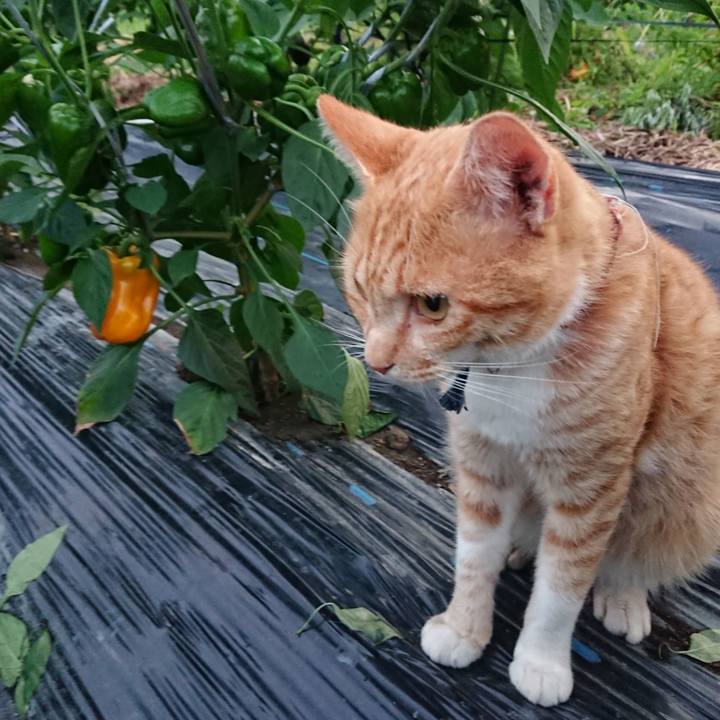 0e08d97d 0b60 4b89 9d76 98570c3042a6 1564308916377