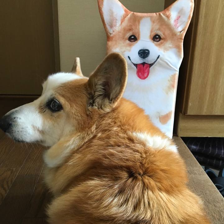 0e092234 b8a6 4ef9 9797 53e664619b86 1553069503405