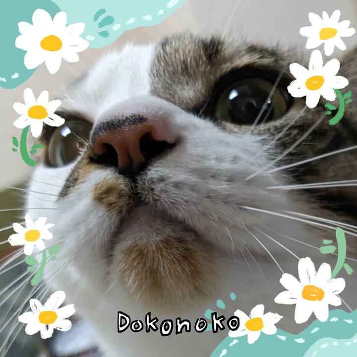 0e093dd7 f030 4bf2 987c 1939cc934d78 1712199916590