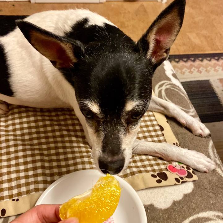 0e09417a 8c0d 4df4 bc69 a064a0589de3 1575899966239