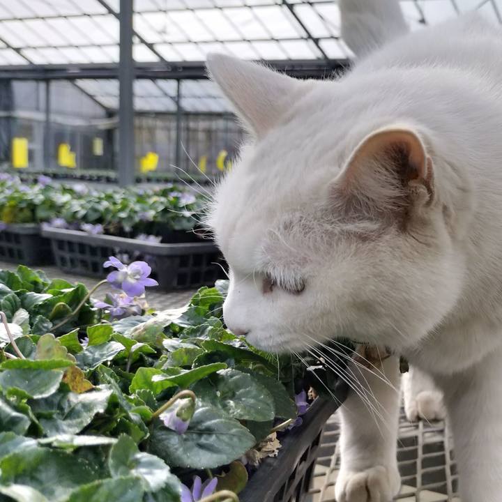 0e097548 c75c 4797 a861 03df1962c20a 1770777928664